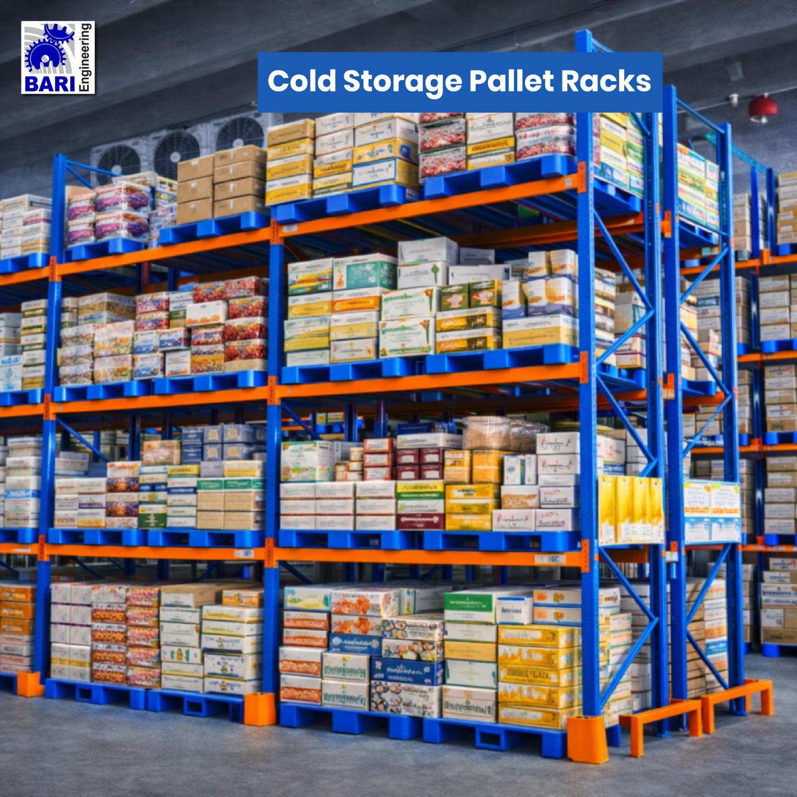 WhatsApp Image 2026-01-28 at 10.33.38 PM (1)