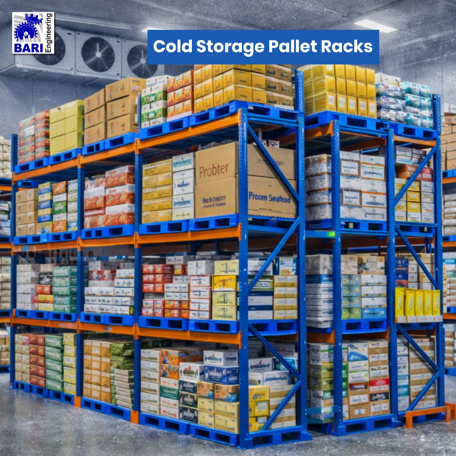 WhatsApp Image 2026-01-28 at 10.33.39 PM