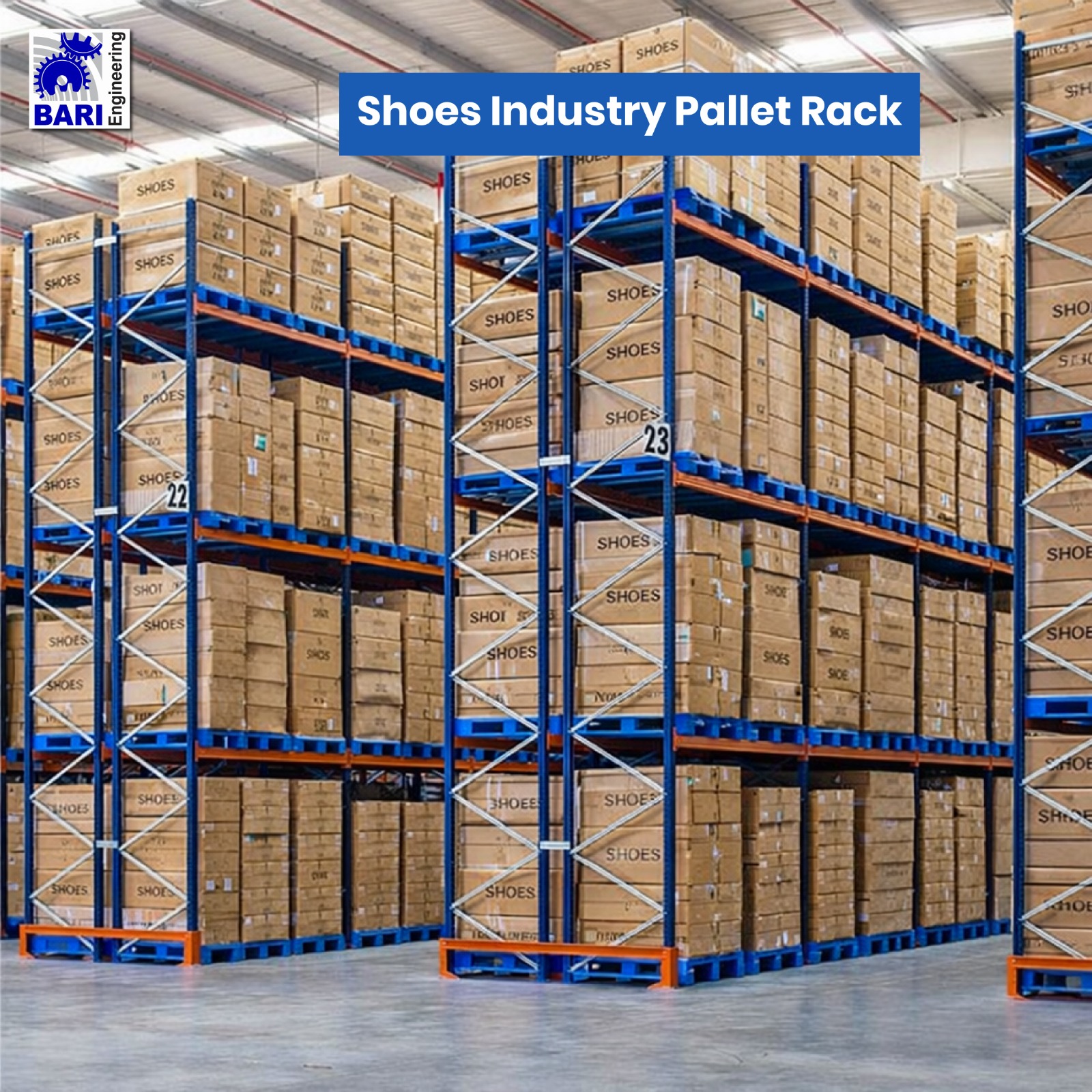 WhatsApp Image 2026-01-29 at 10.55.33 PM (1)