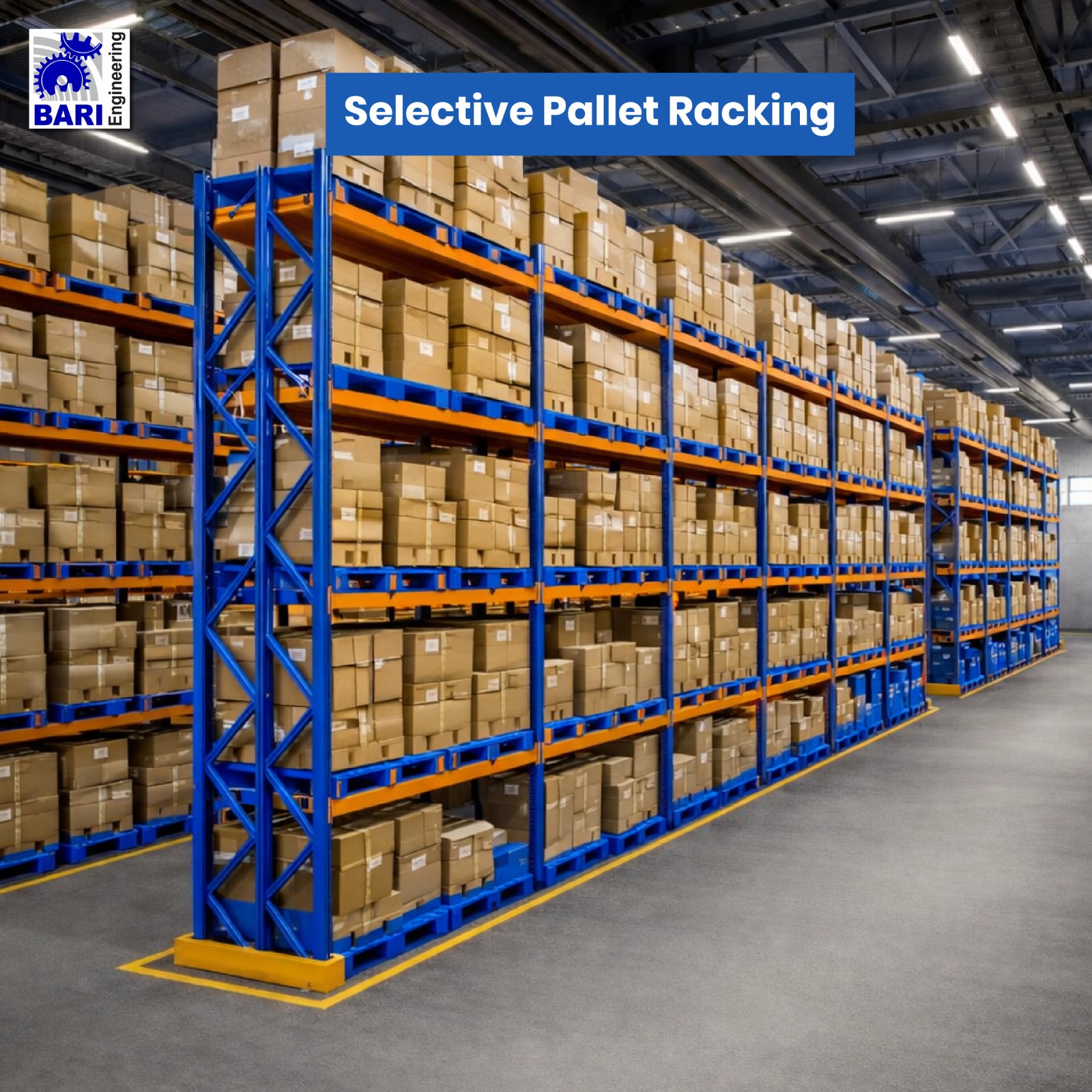 WhatsApp Image 2026-02-01 at 10.18.13 PM