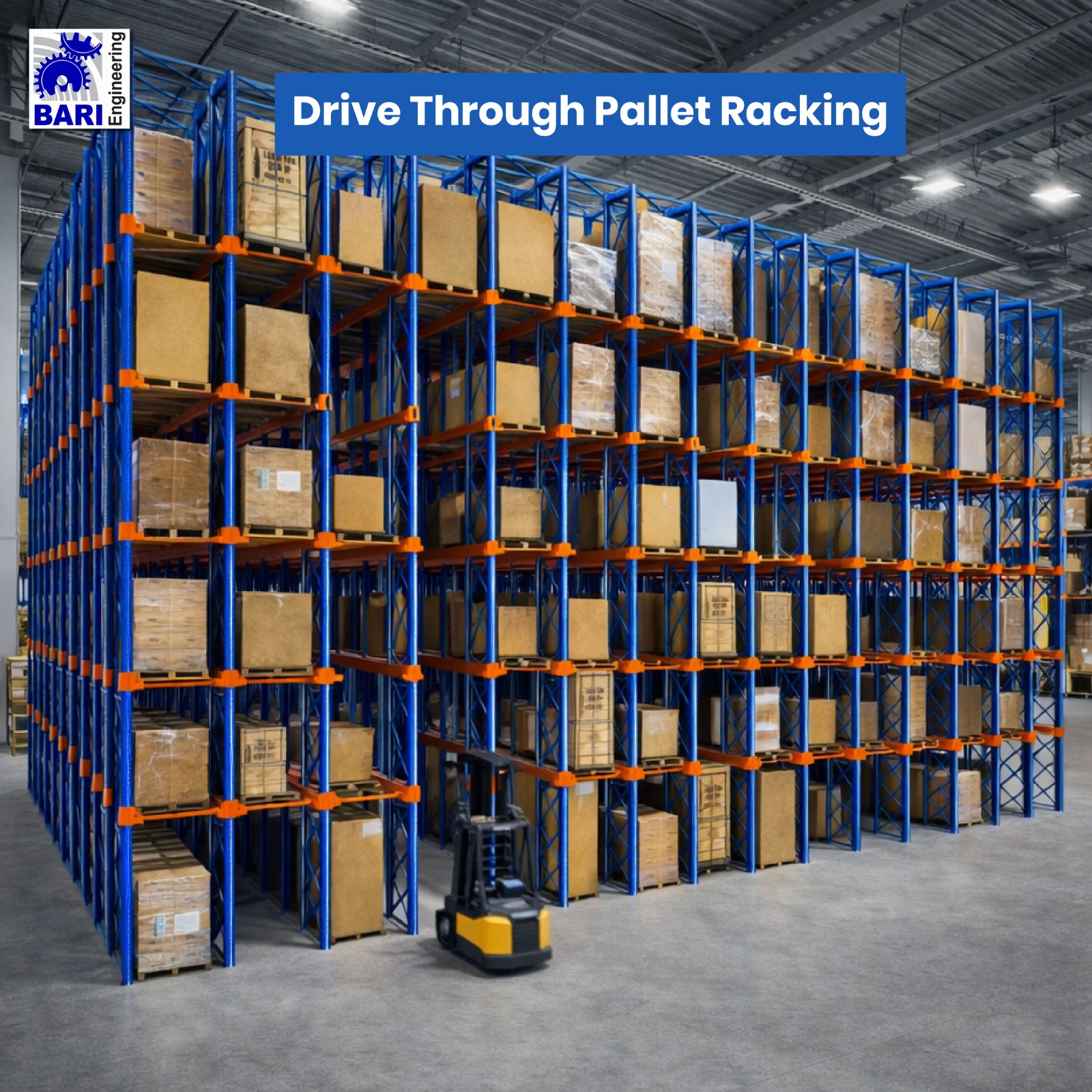 WhatsApp Image 2026-02-01 at 10.25.26 PM (1)