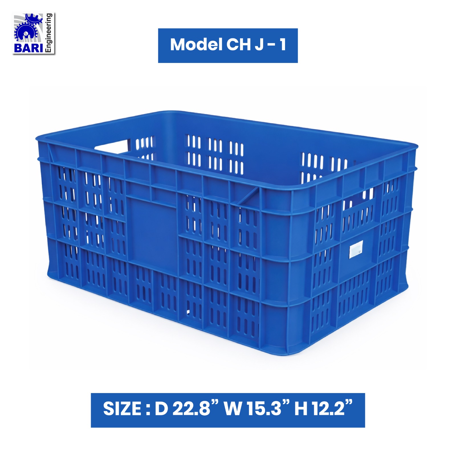 WhatsApp Image 2026-02-08 at 10.34.05 PM