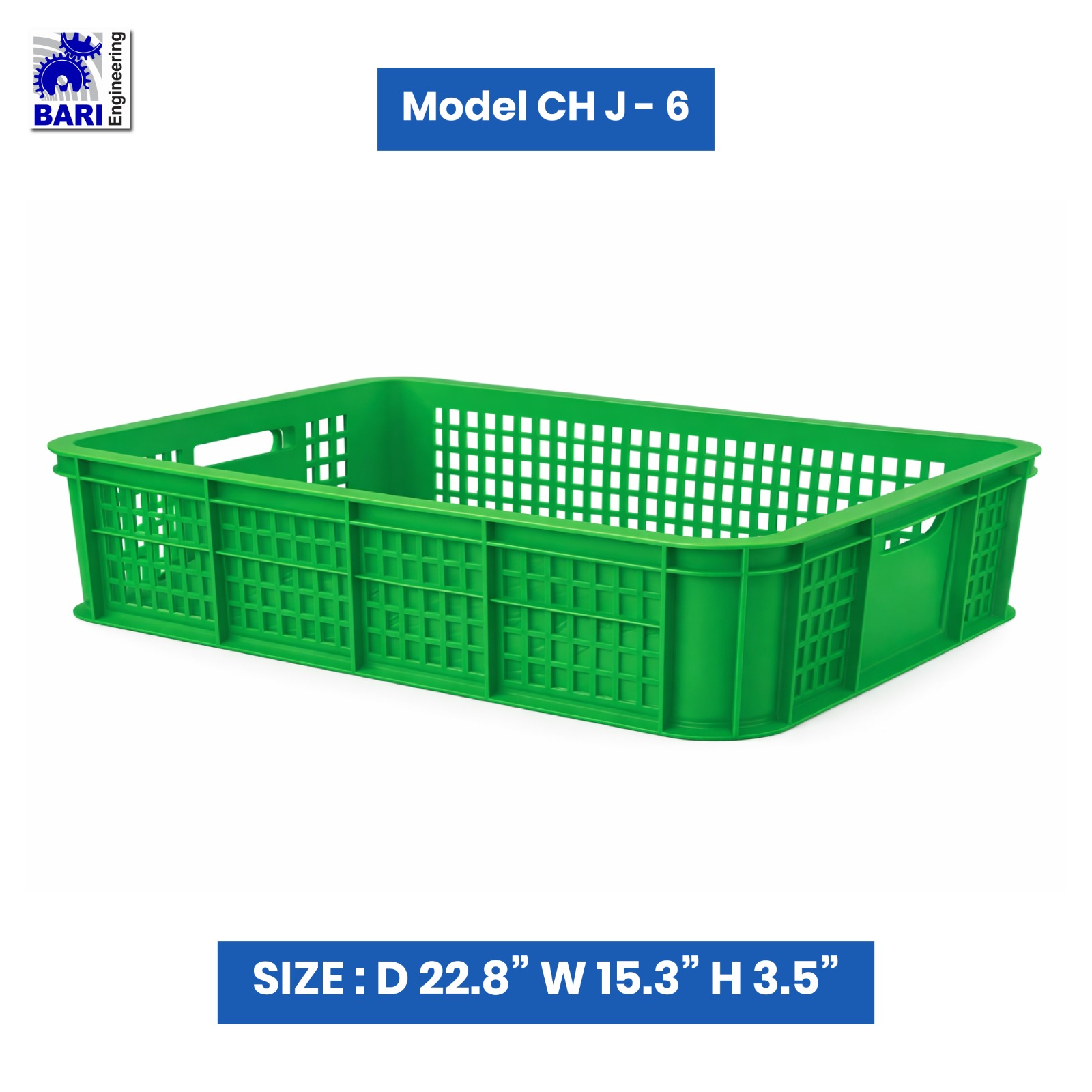 WhatsApp Image 2026-02-08 at 10.34.06 PM